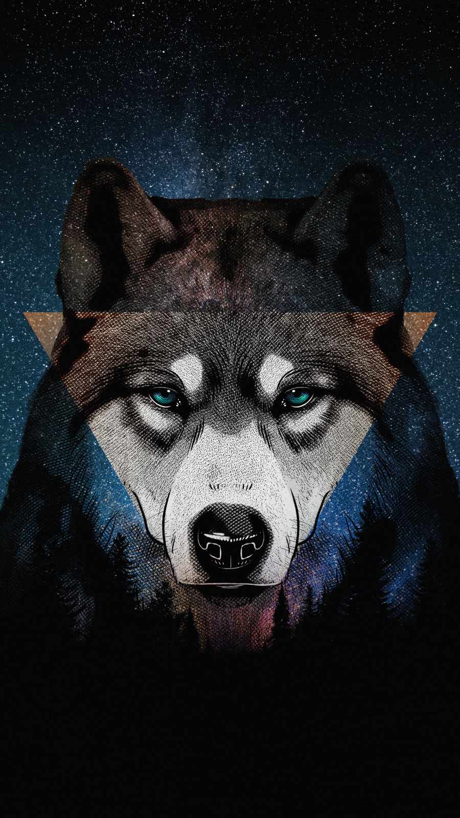 Husky Wallpapers