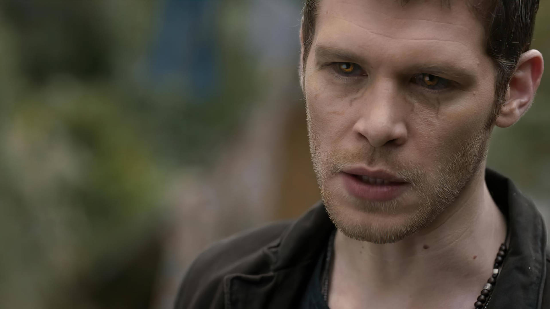 Hybrid Klaus Mikaelson Wallpapers