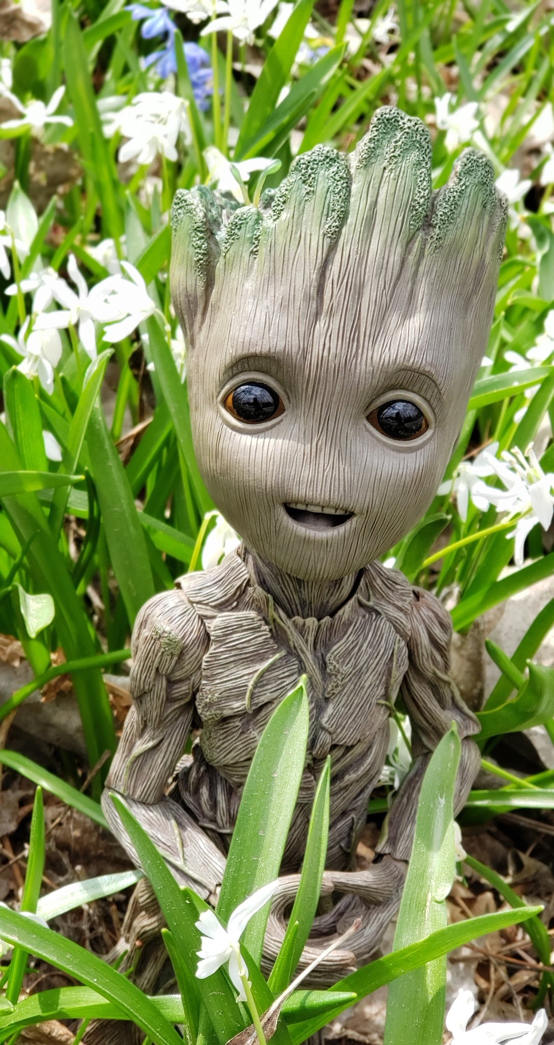 I Am Groot Disney Wallpapers