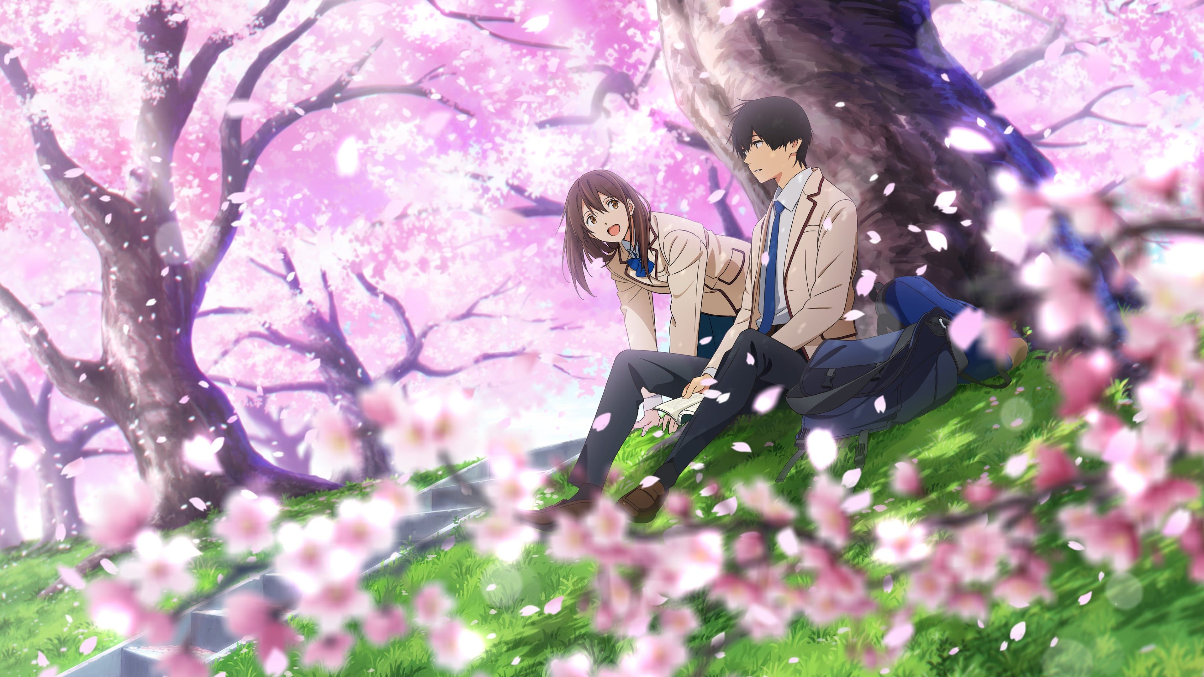 I Want To Eat Your Pancreas Wallpapers