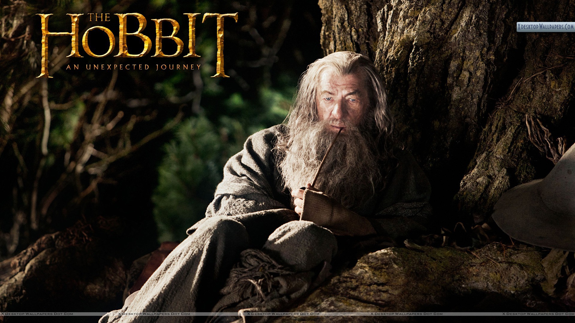 Ian McKellen Wallpapers