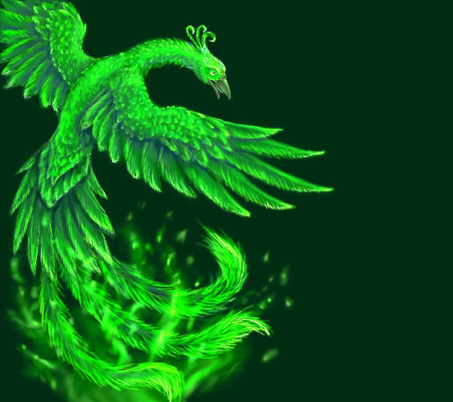 Ice Phoenix Wallpapers