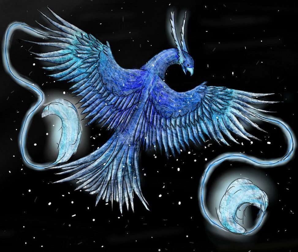 Ice Phoenix Wallpapers