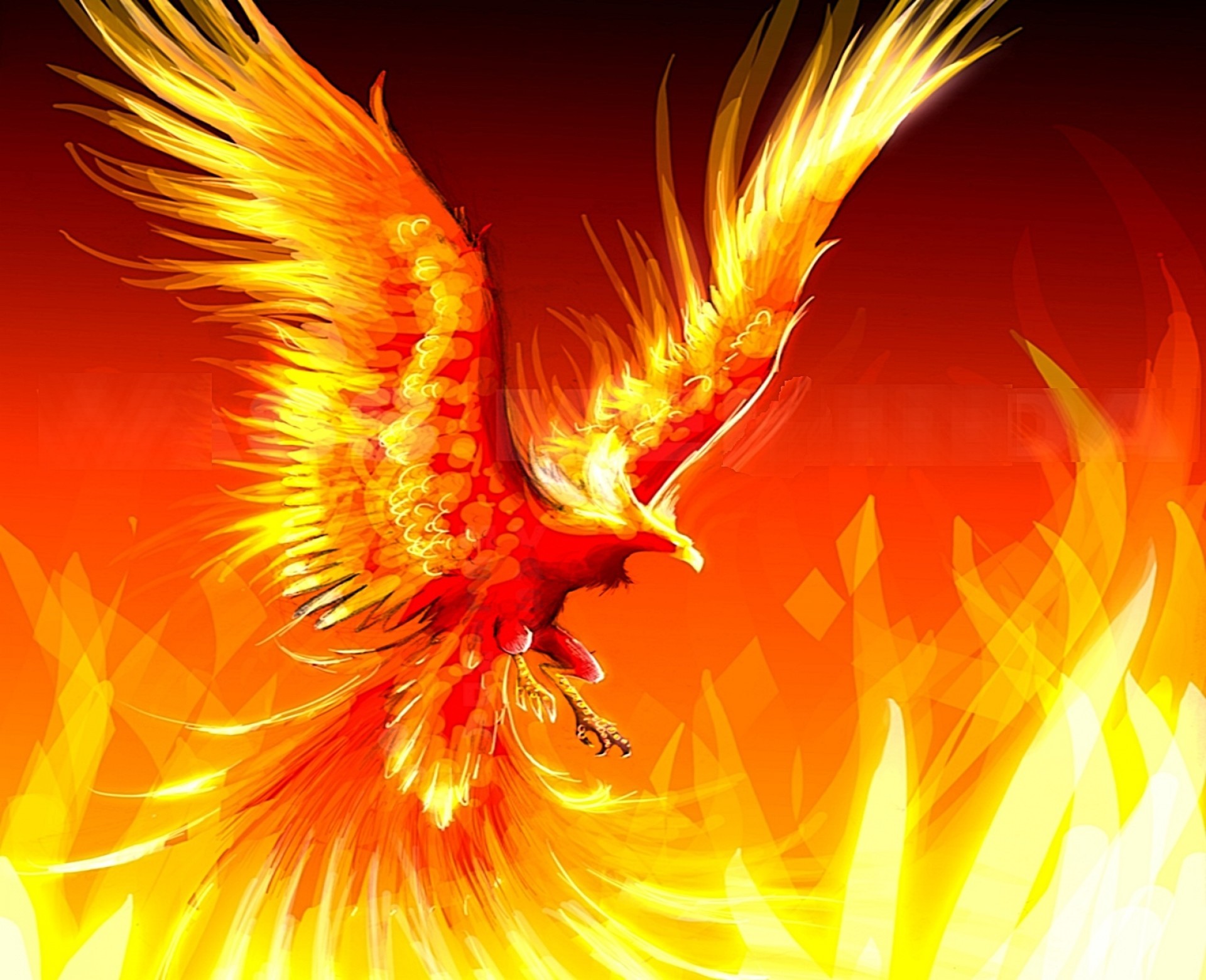 Ice Phoenix Wallpapers