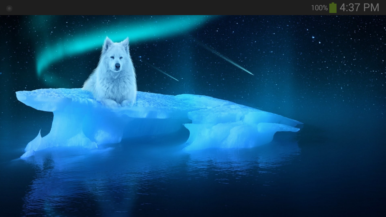 Ice Wolf Wallpapers