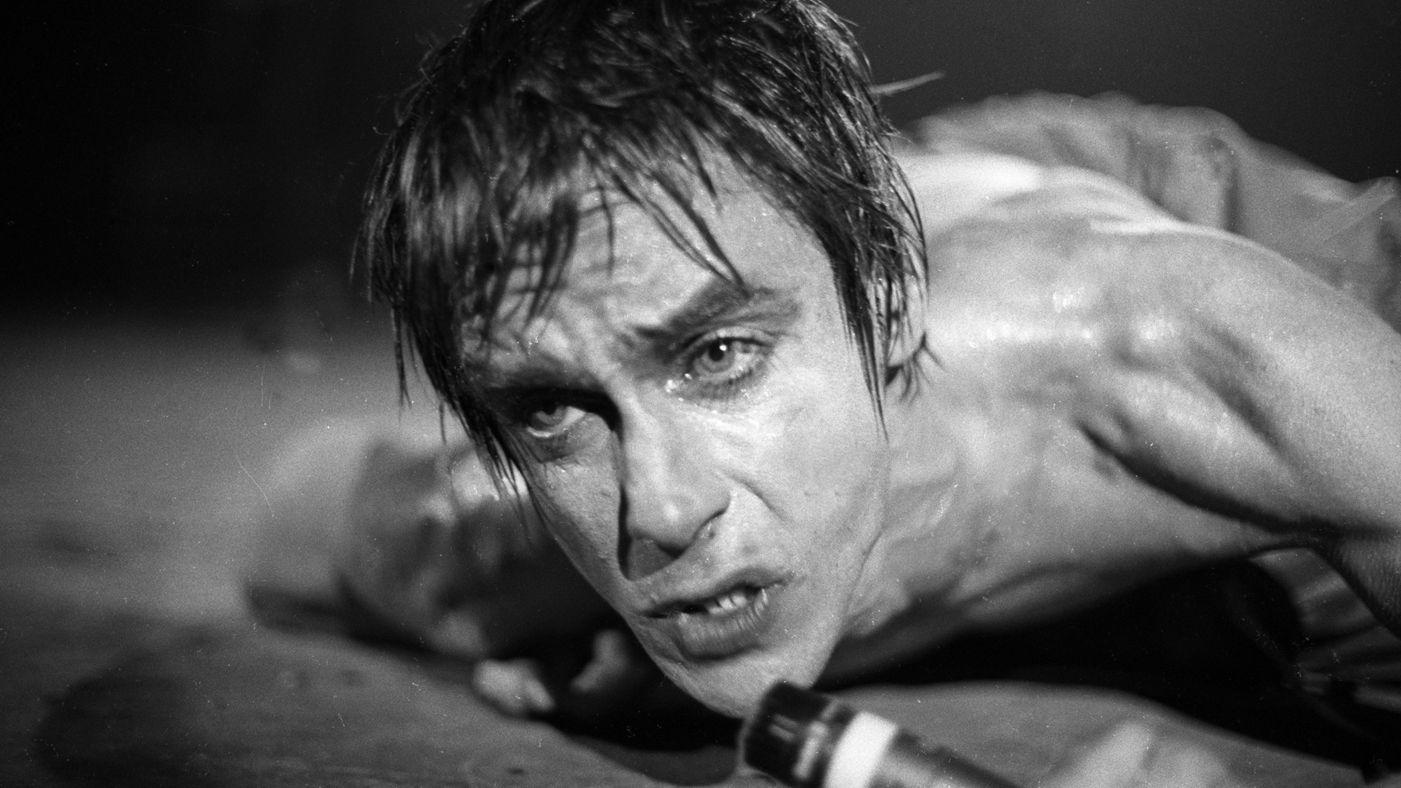 Iggy Pop Wallpapers