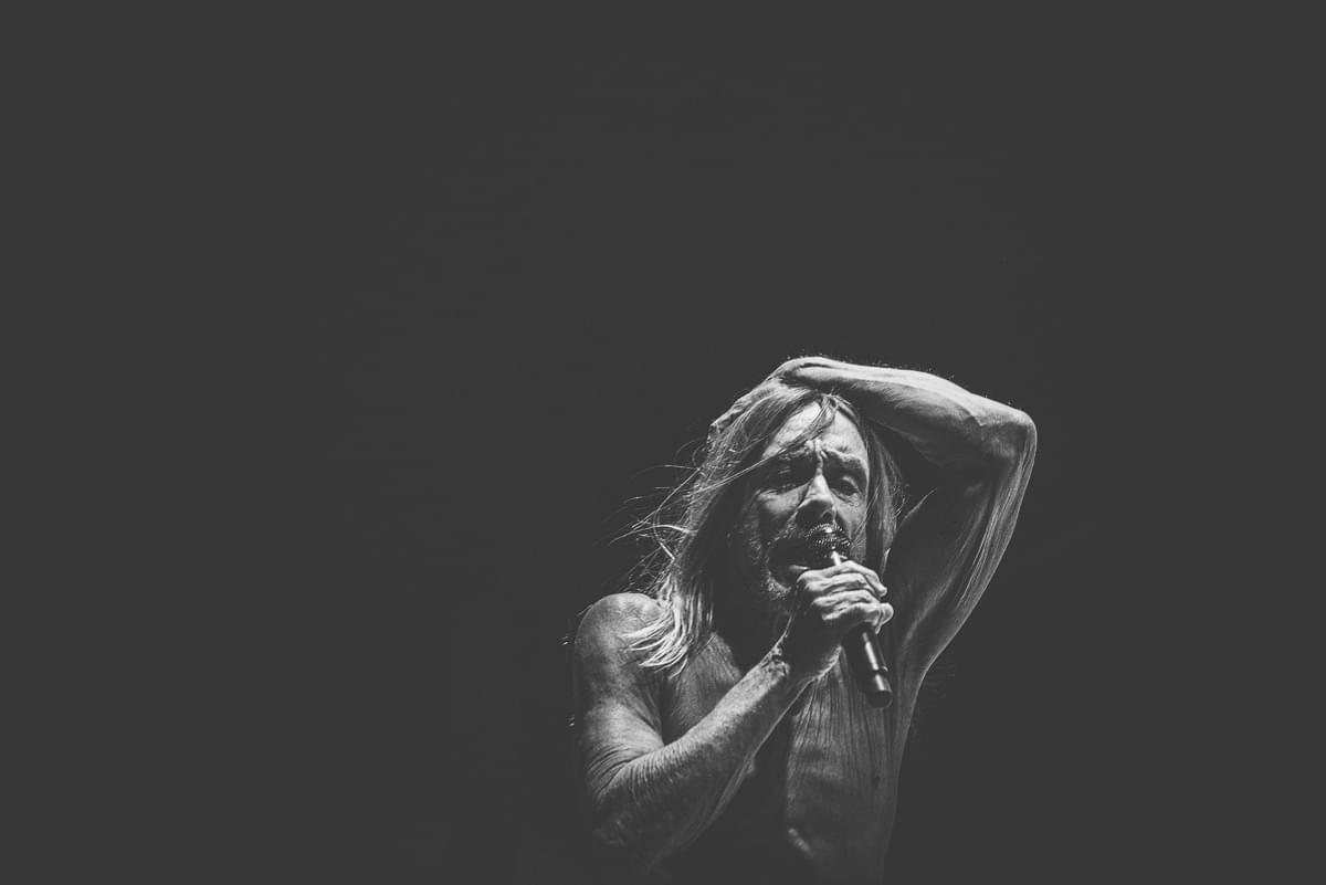 Iggy Pop Wallpapers