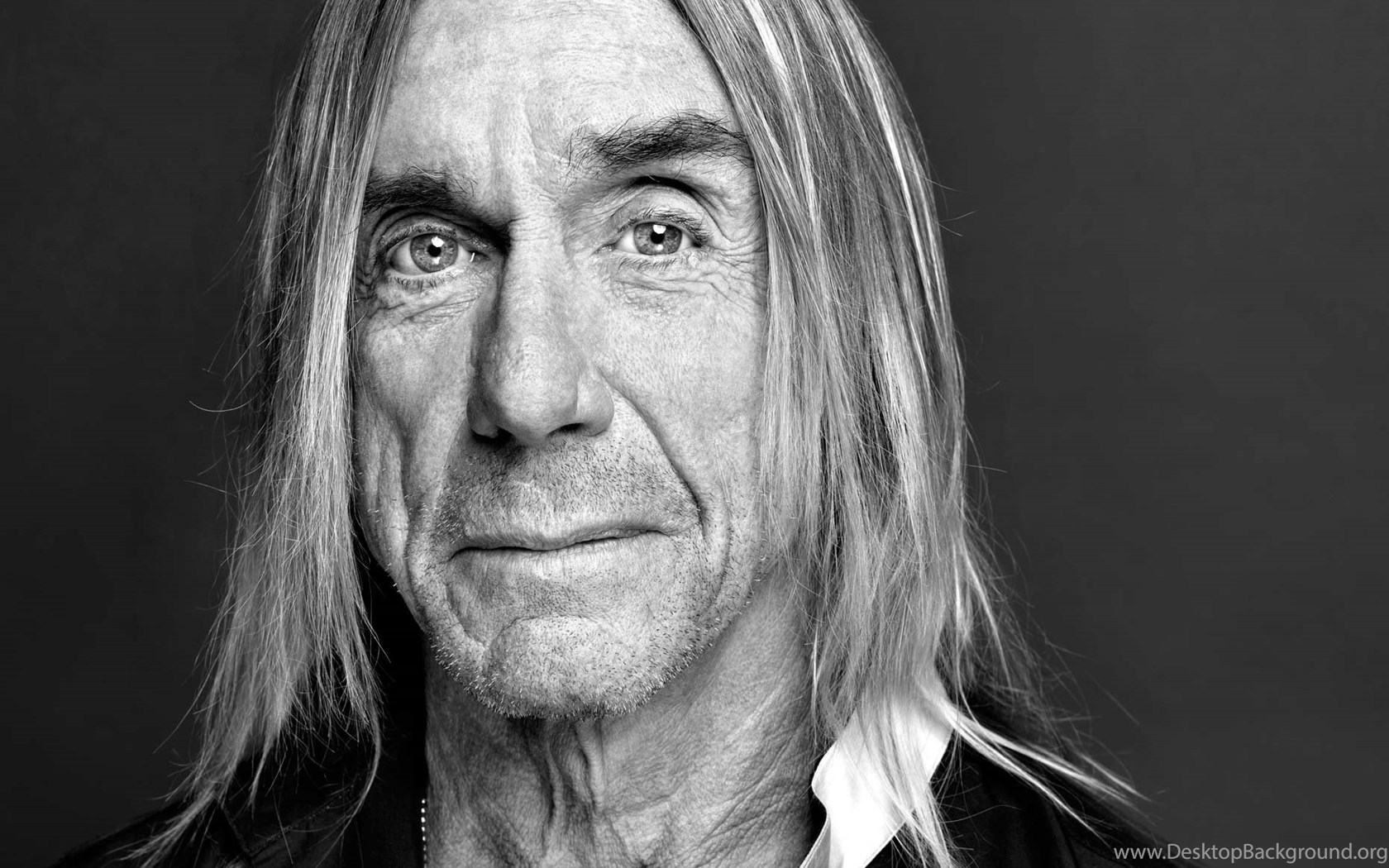 Iggy Pop Wallpapers