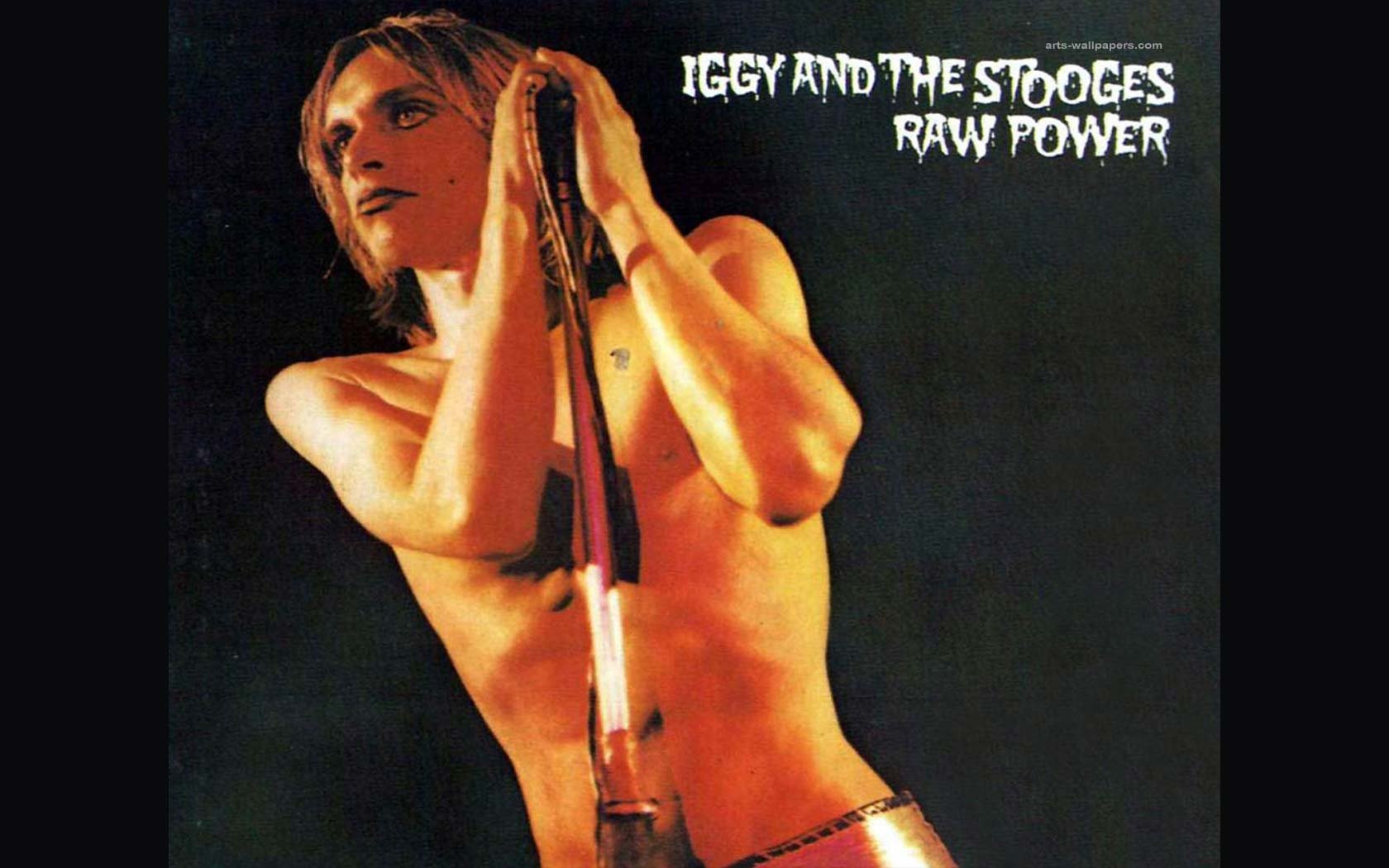 Iggy Pop Wallpapers