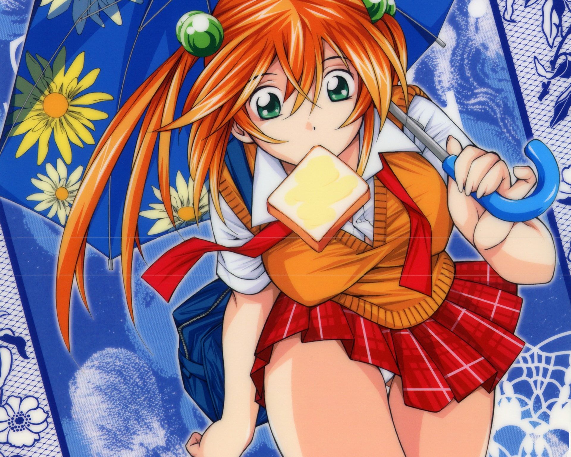 Ikki Tousen Wallpapers