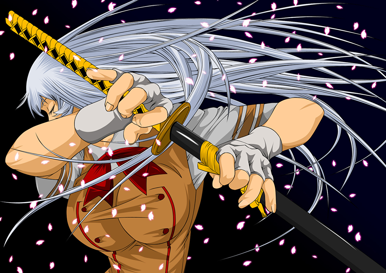 Ikki Tousen Wallpapers