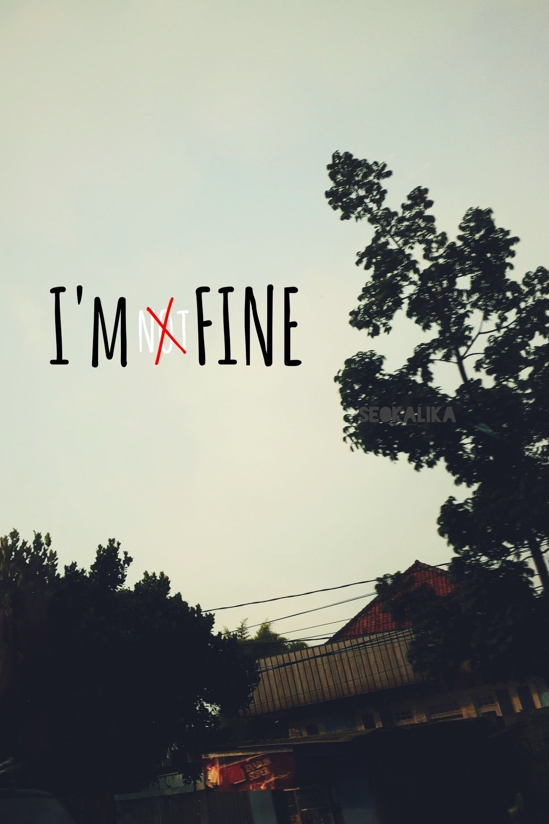 Im Fine Wallpapers