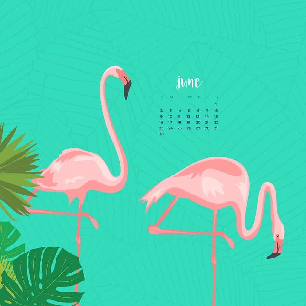 Images Of June 2020 Calendar Wallpapers