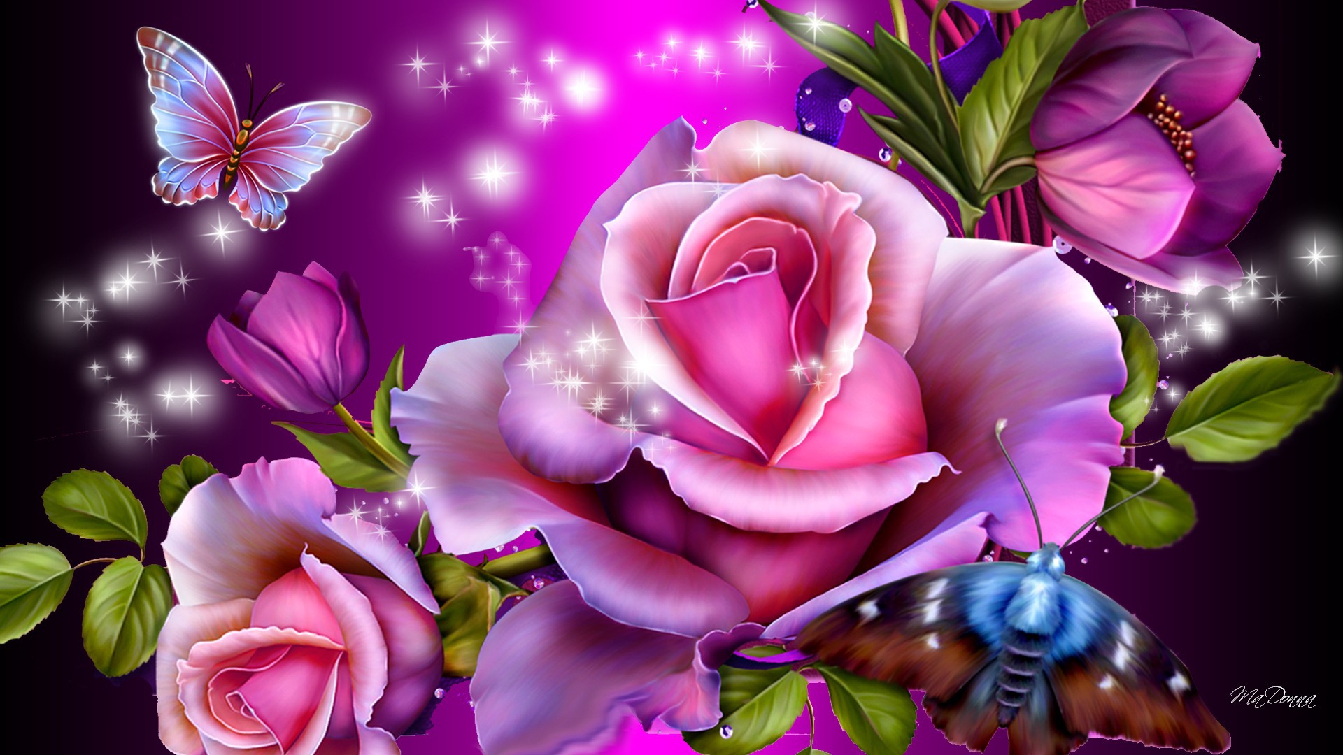 Images Of Purple Roses And Butterflies Wallpapers