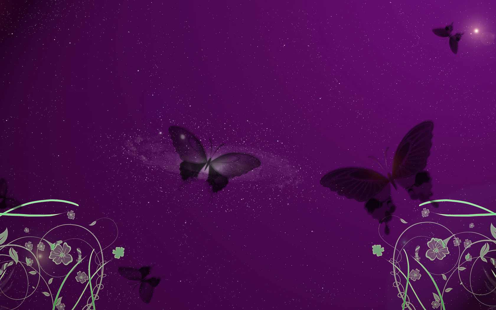 Images Of Purple Roses And Butterflies Wallpapers