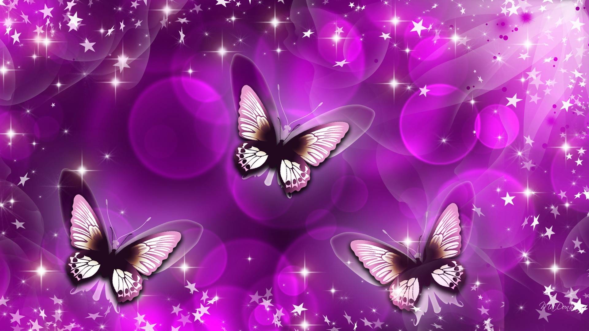 Images Of Purple Roses And Butterflies Wallpapers