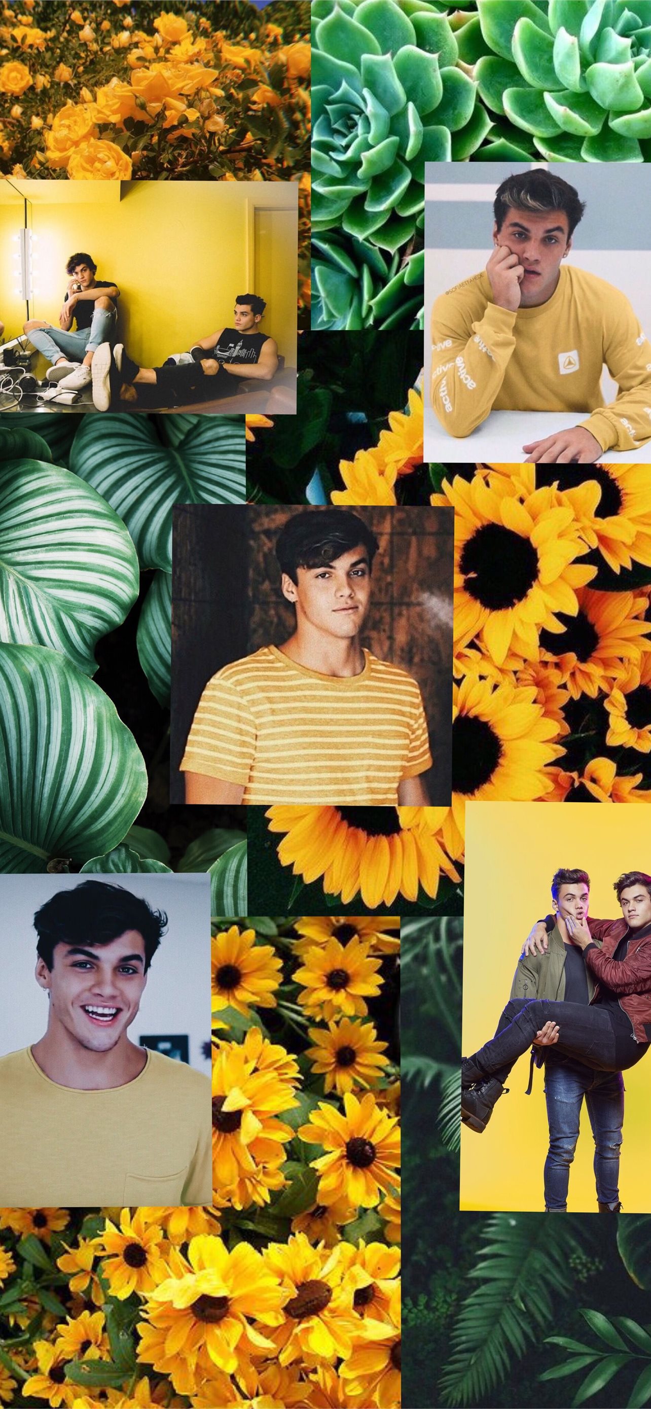 Images Of The Dolan Twins Wallpapers