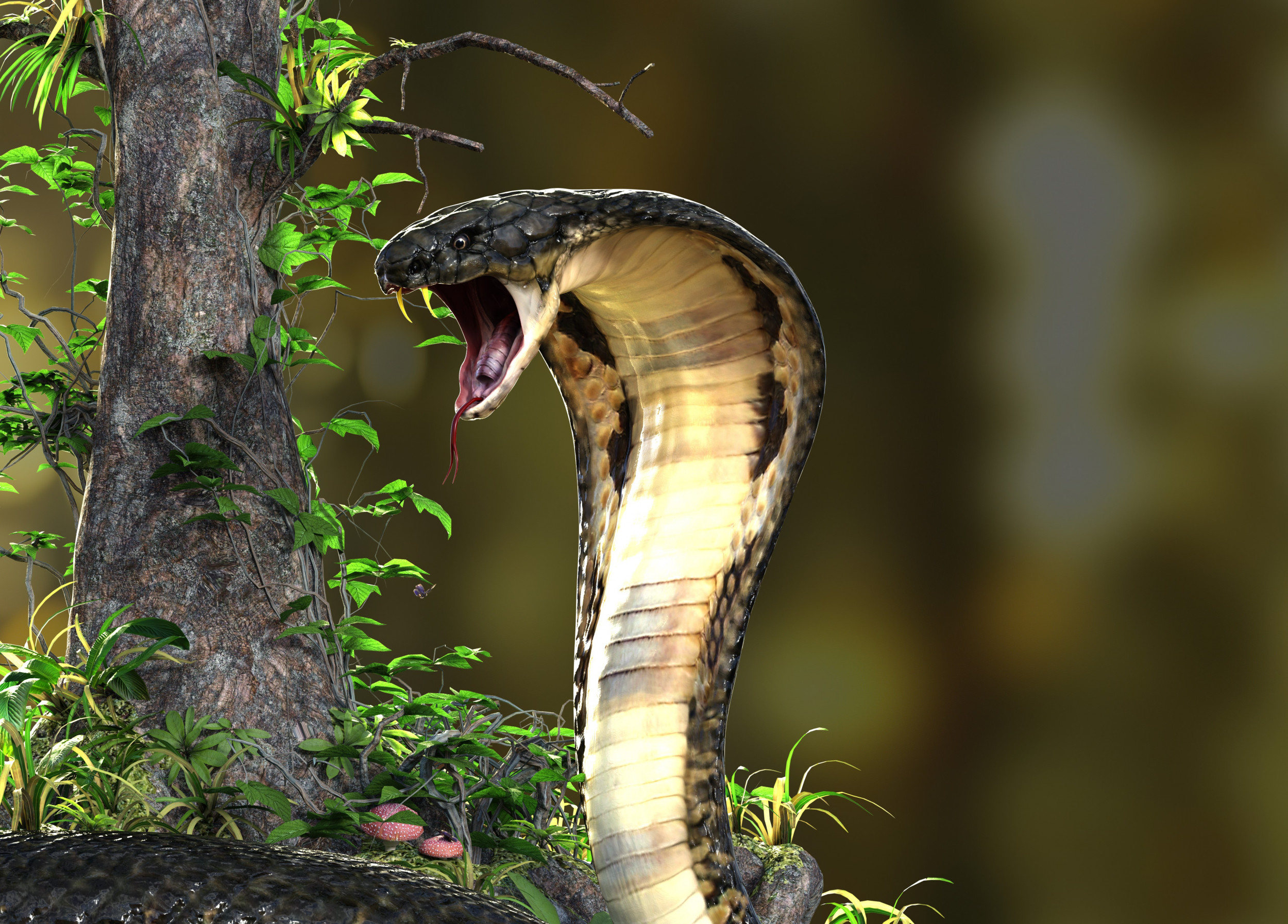 Indian King Cobra Snake Wallpapers