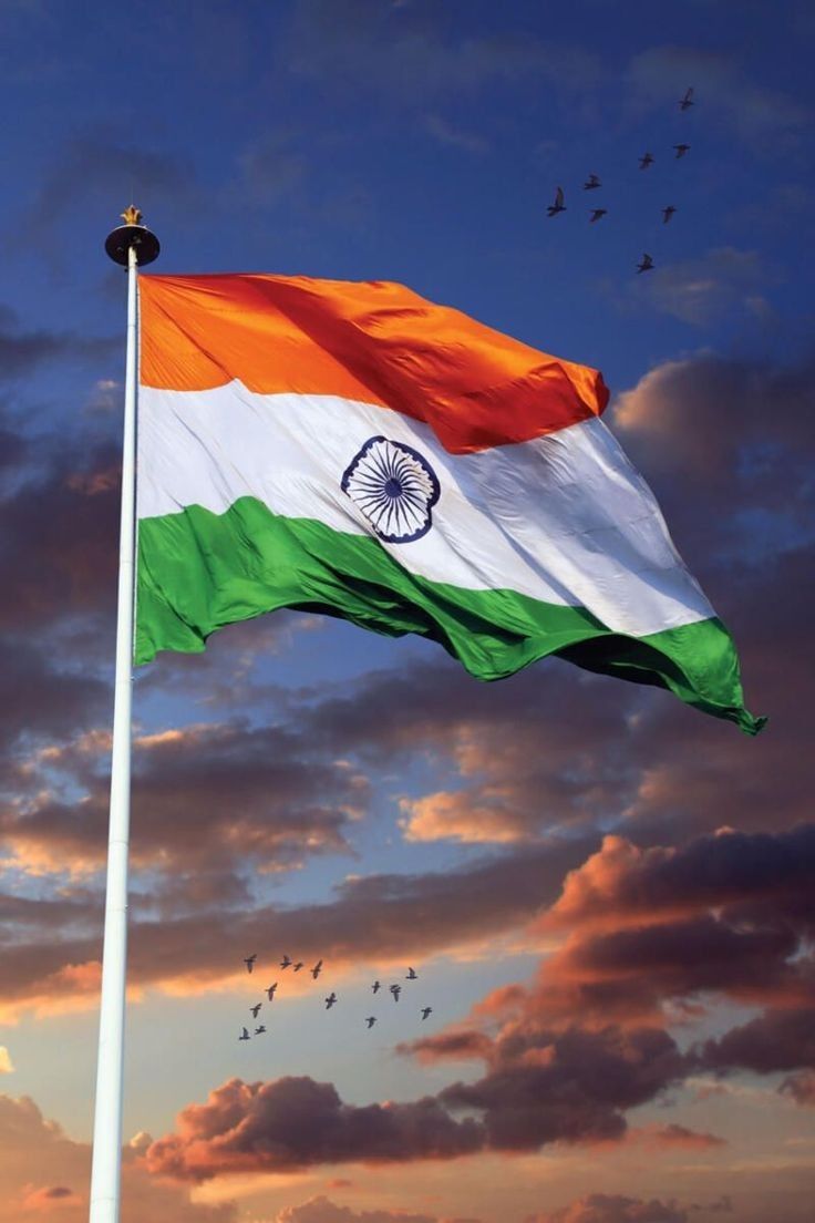 Indian National Flag Wallpapers