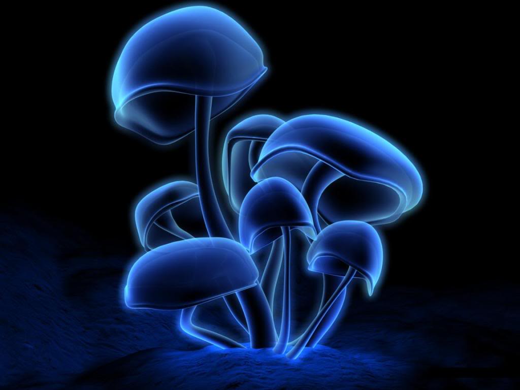 Infected Mushroom Wallpapers