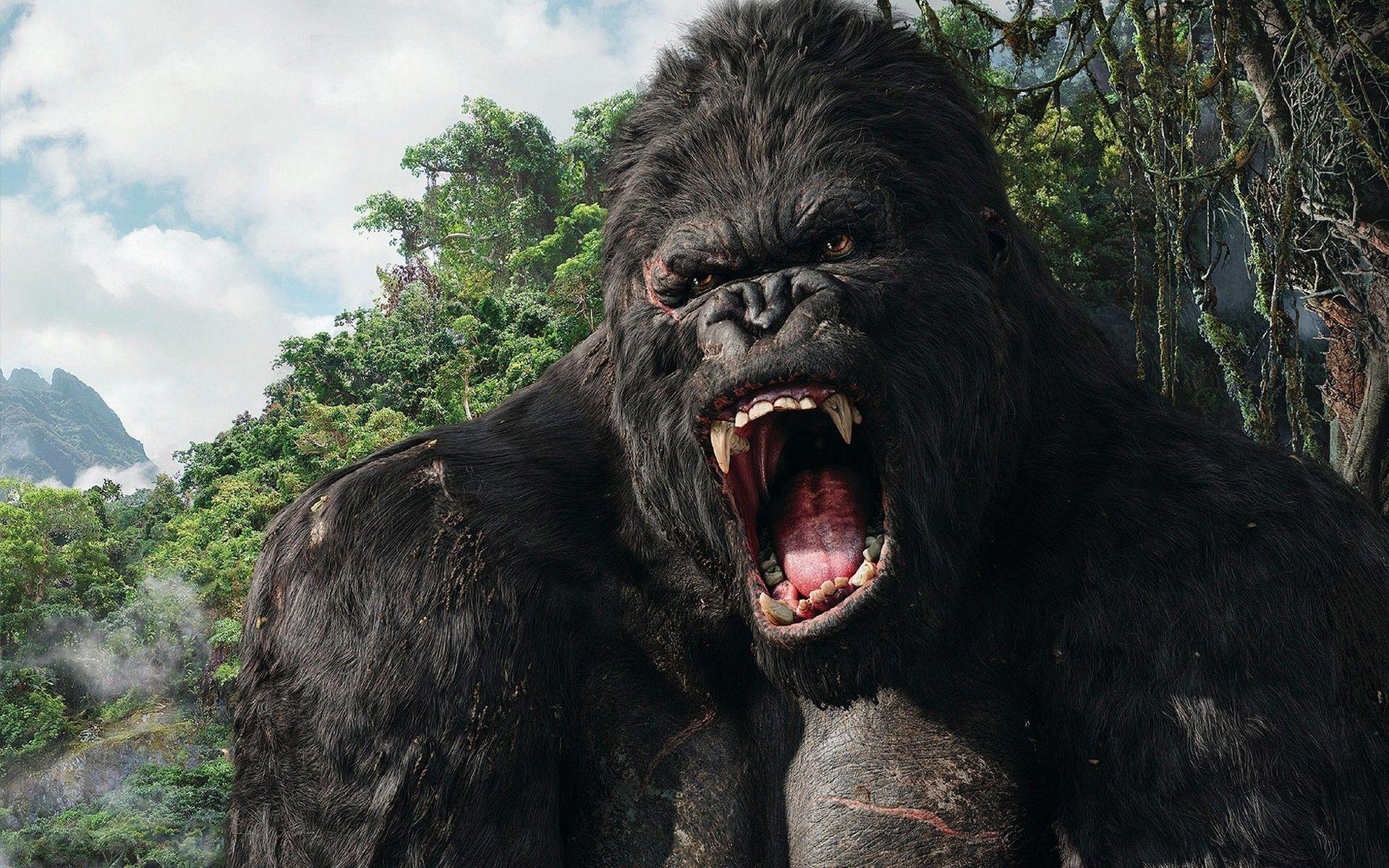 Innocent King Kong Wallpapers