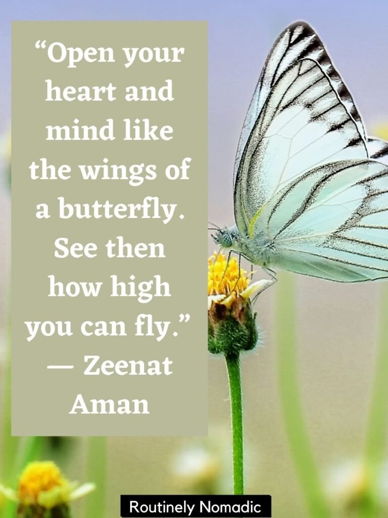 Inspirational Butterfly Quotes Wallpapers