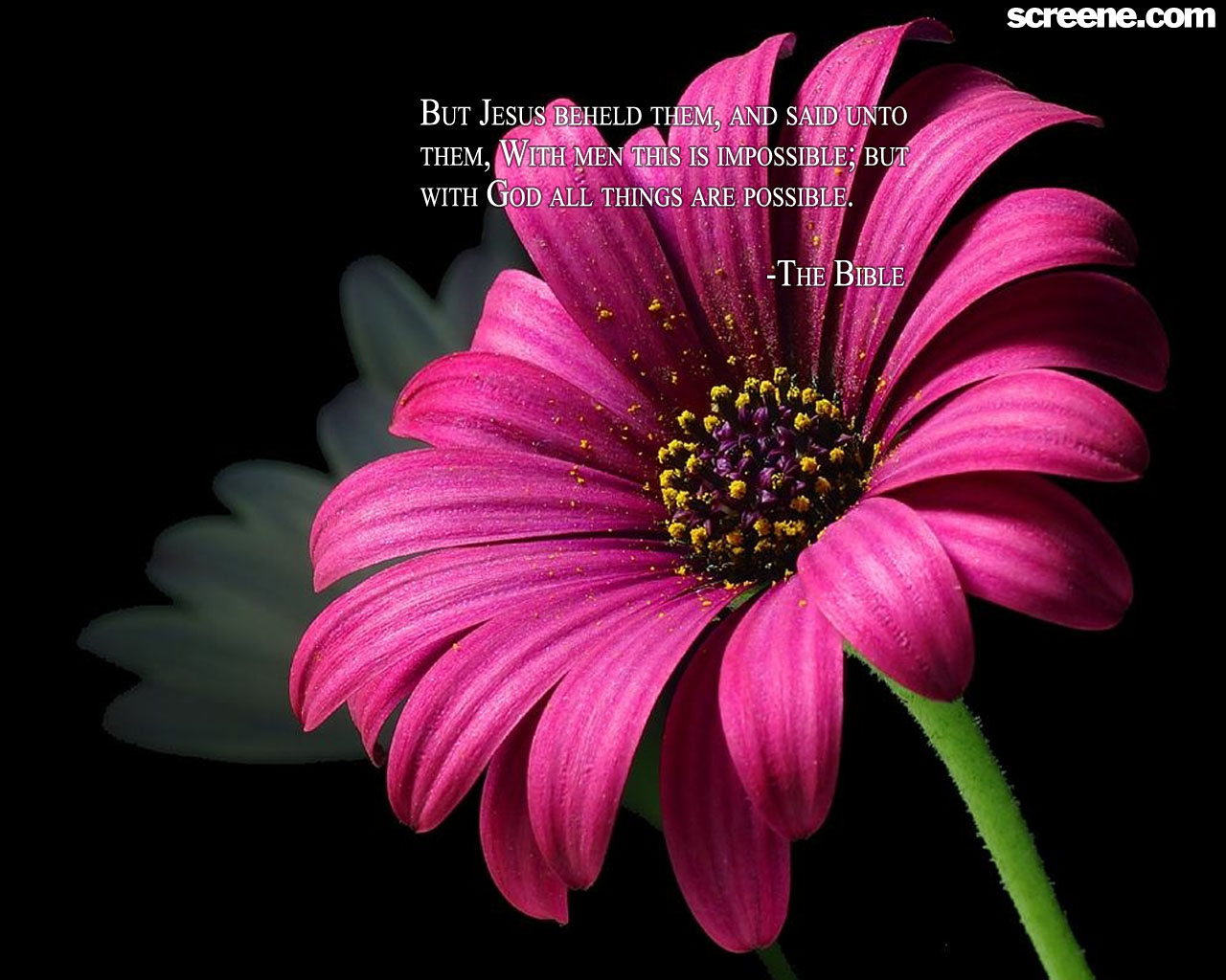 Inspirational Floral Quote Wallpapers