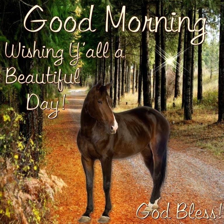 Inspirational Good Morning Horse Images Wallpapers