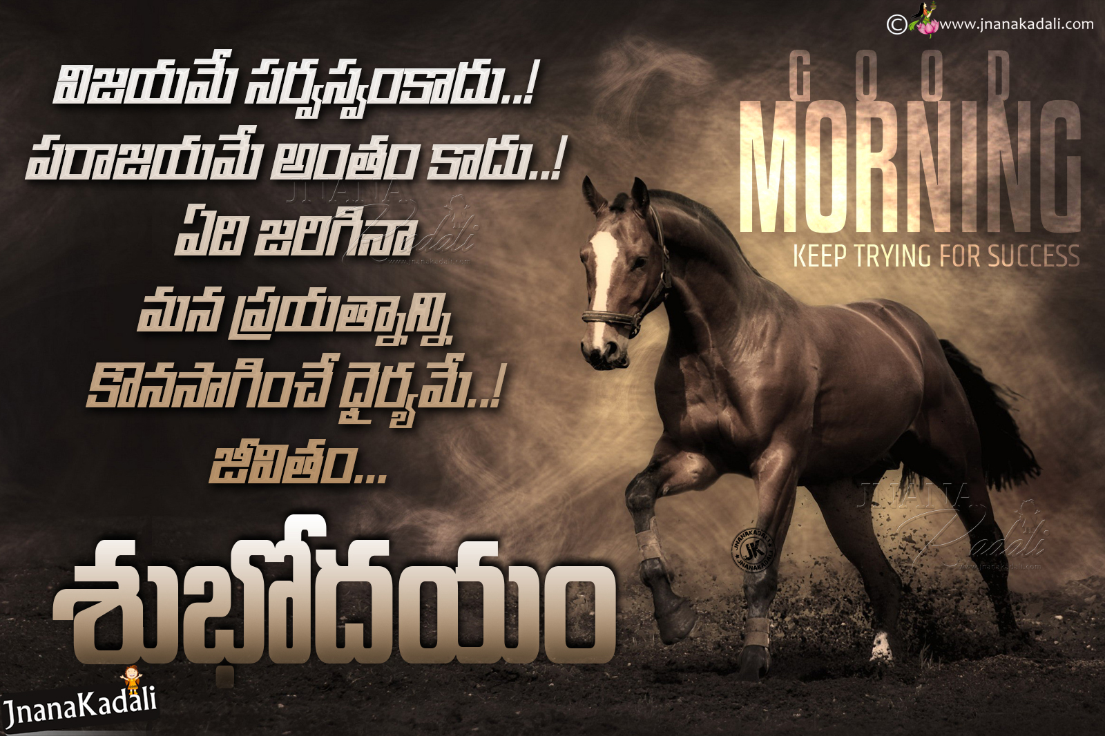 Inspirational Good Morning Horse Images Wallpapers