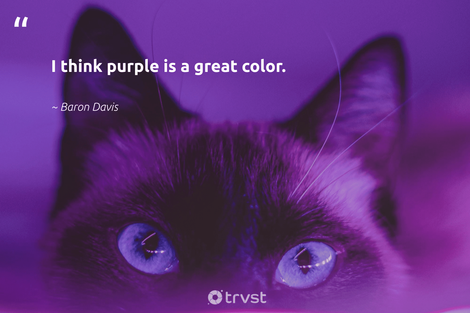 Inspirational Quotes Purple Background