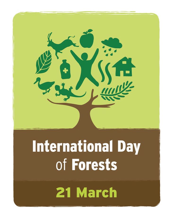 International Day Of Forests Wallpapers