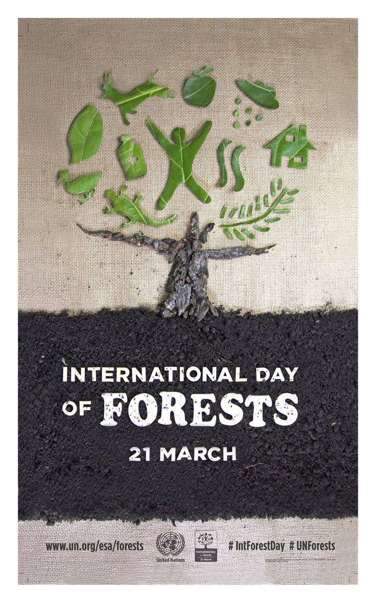 International Day Of Forests Wallpapers