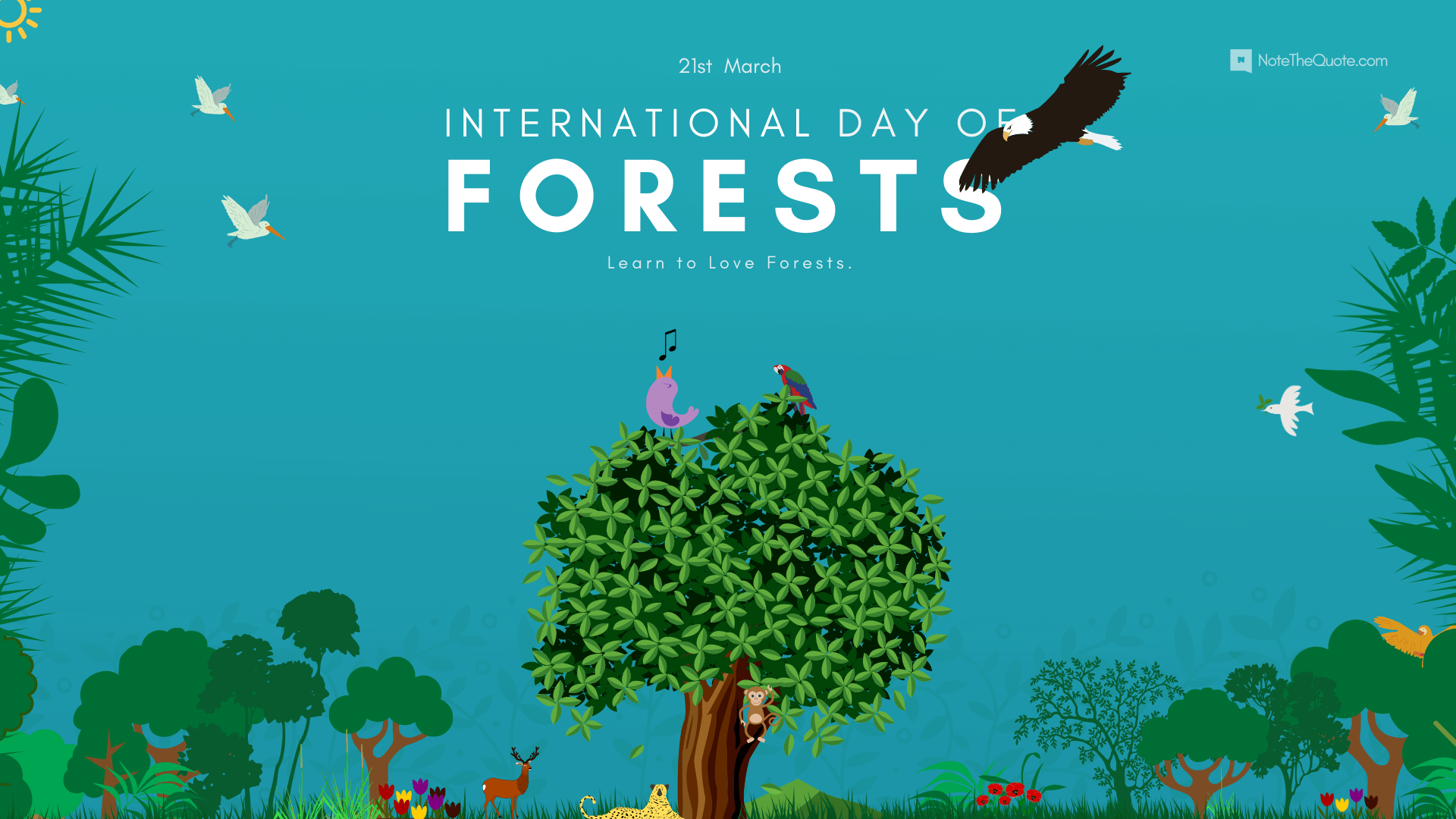 International Day Of Forests Wallpapers