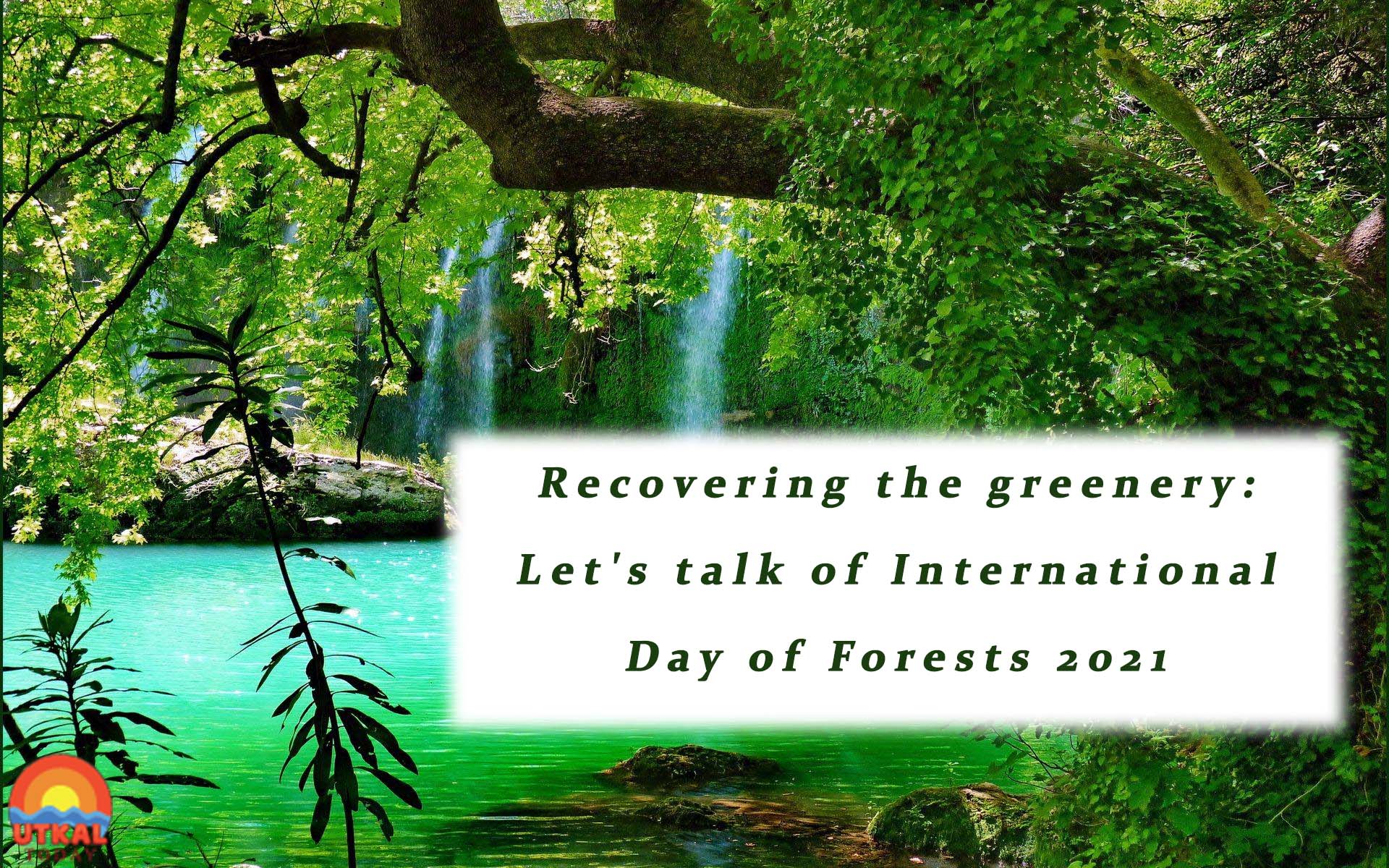 International Day Of Forests Wallpapers