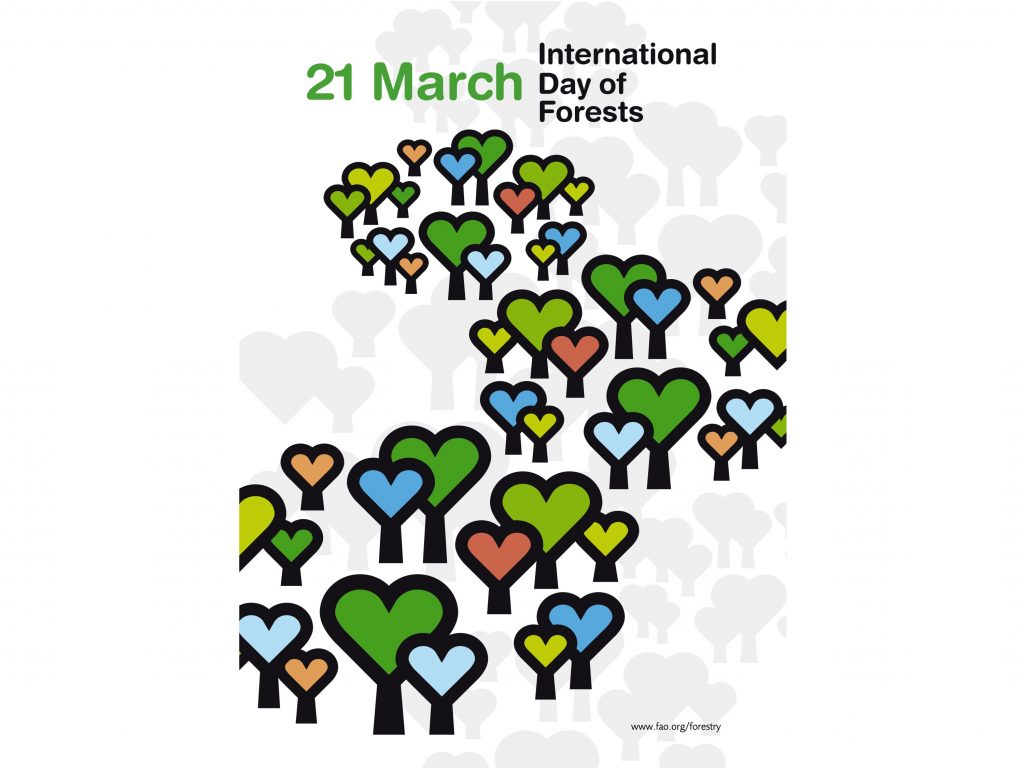 International Day Of Forests Wallpapers