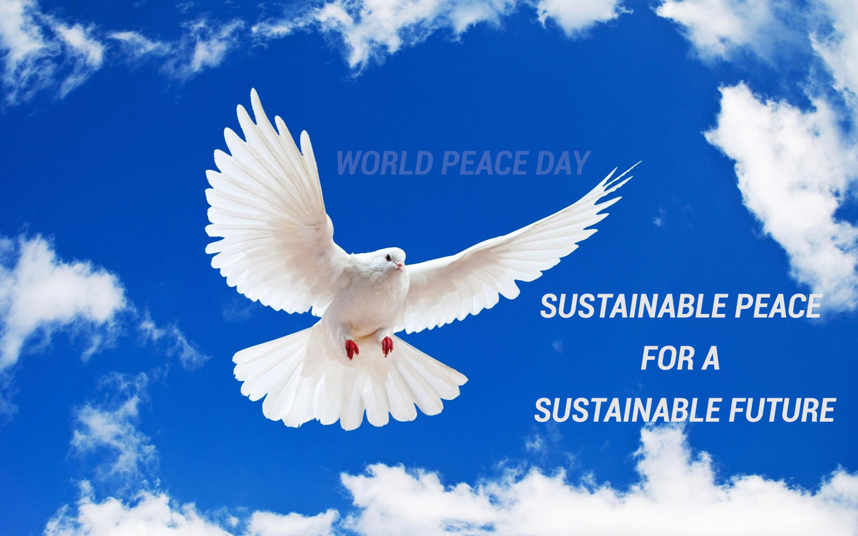 International Day Of Peace Wallpapers