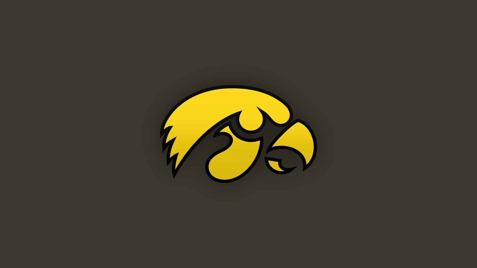 Iowa Hawkeye Background