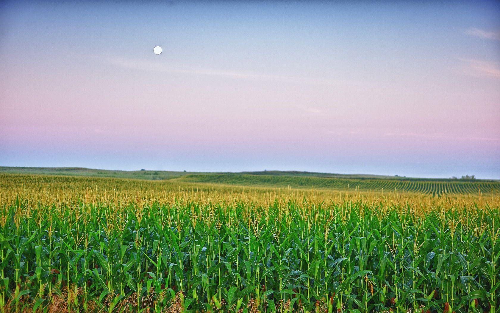 Iowa Wallpapers