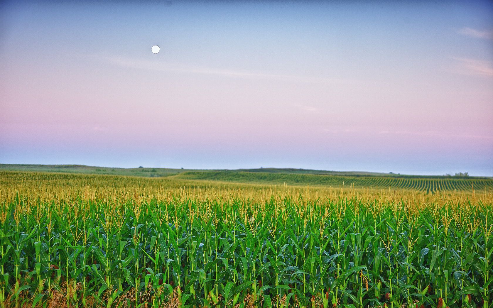 Iowa Wallpapers