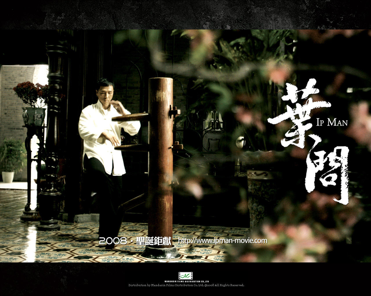 Ip Man Wallpapers