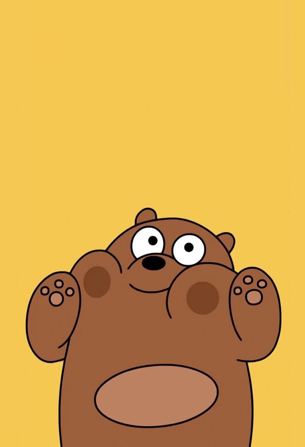 Iphone Bear Wallpapers