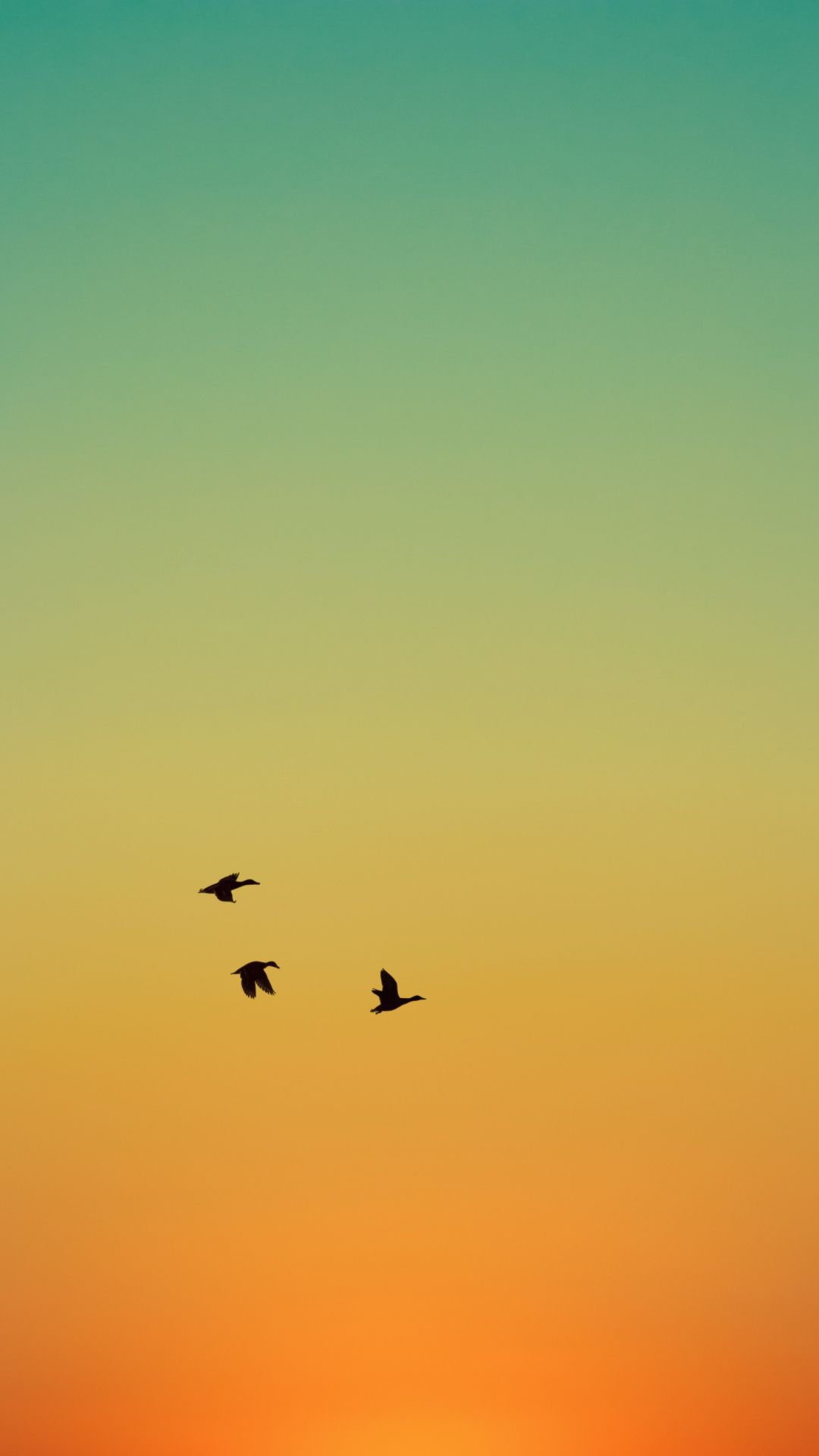 Iphone Birds Wallpapers