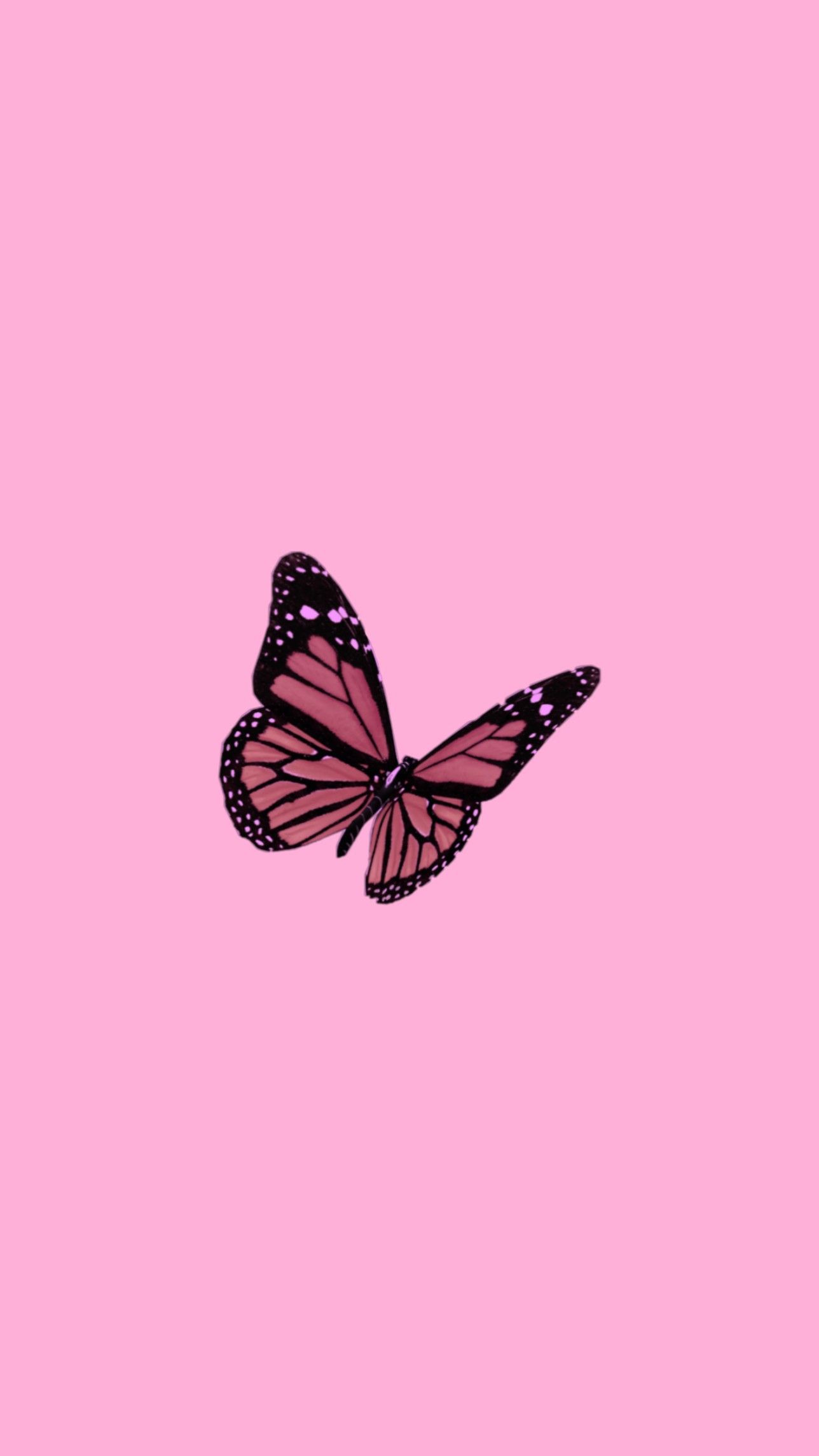 Iphone Butterfly Emoji Wallpapers