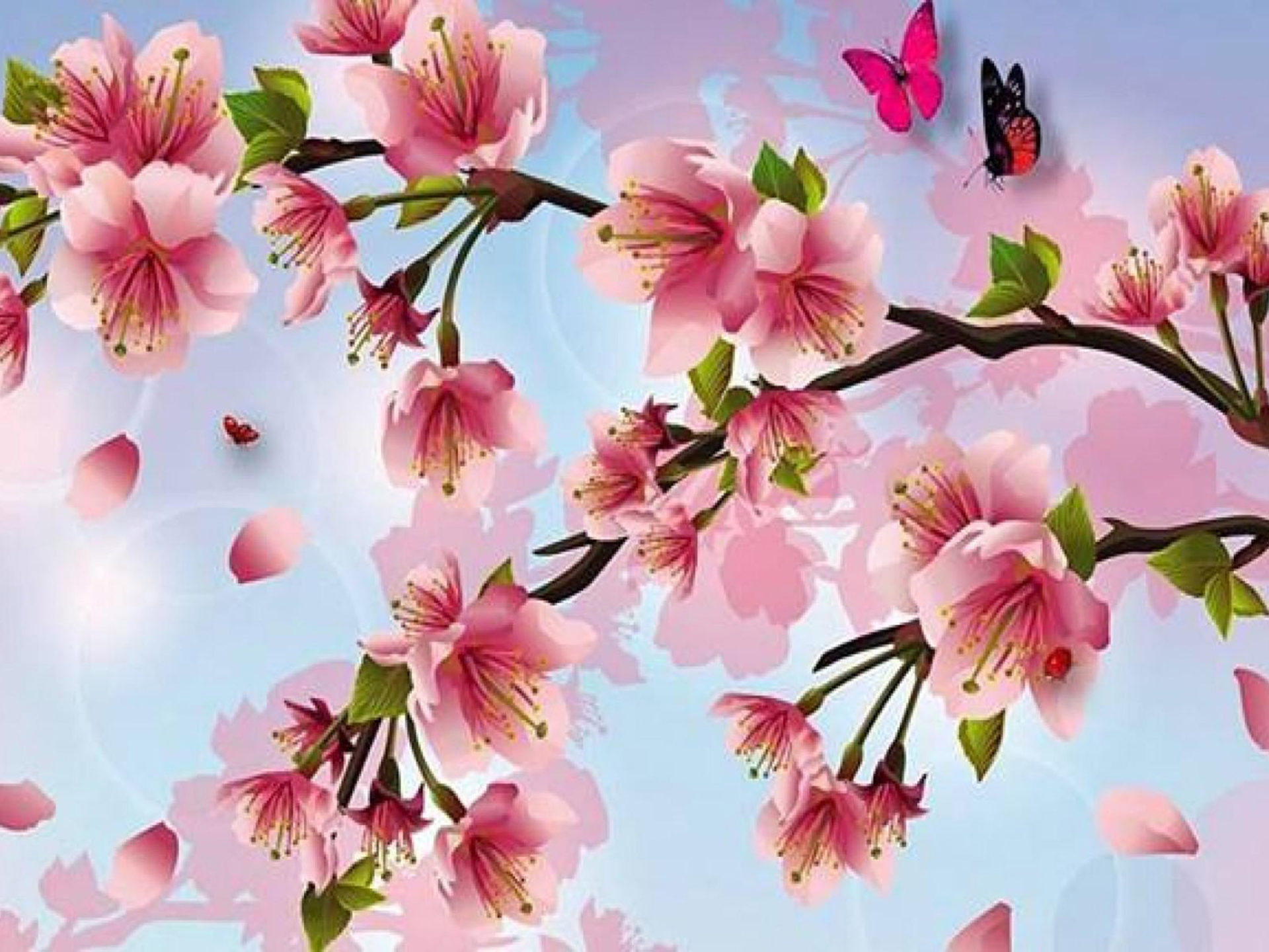 Iphone Cherry Blossom Wallpapers