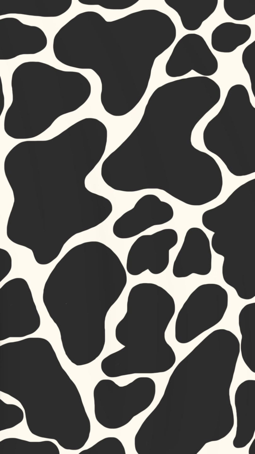 Iphone Cow Wallpapers