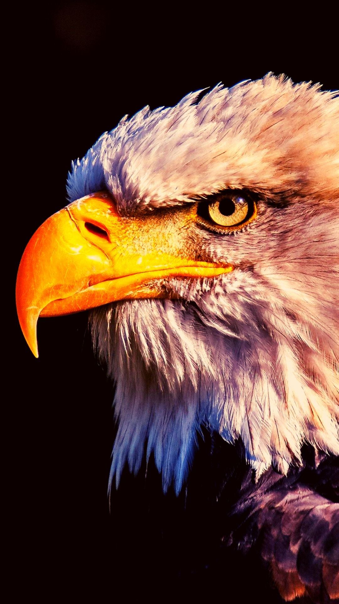 Iphone Eagle Wallpapers