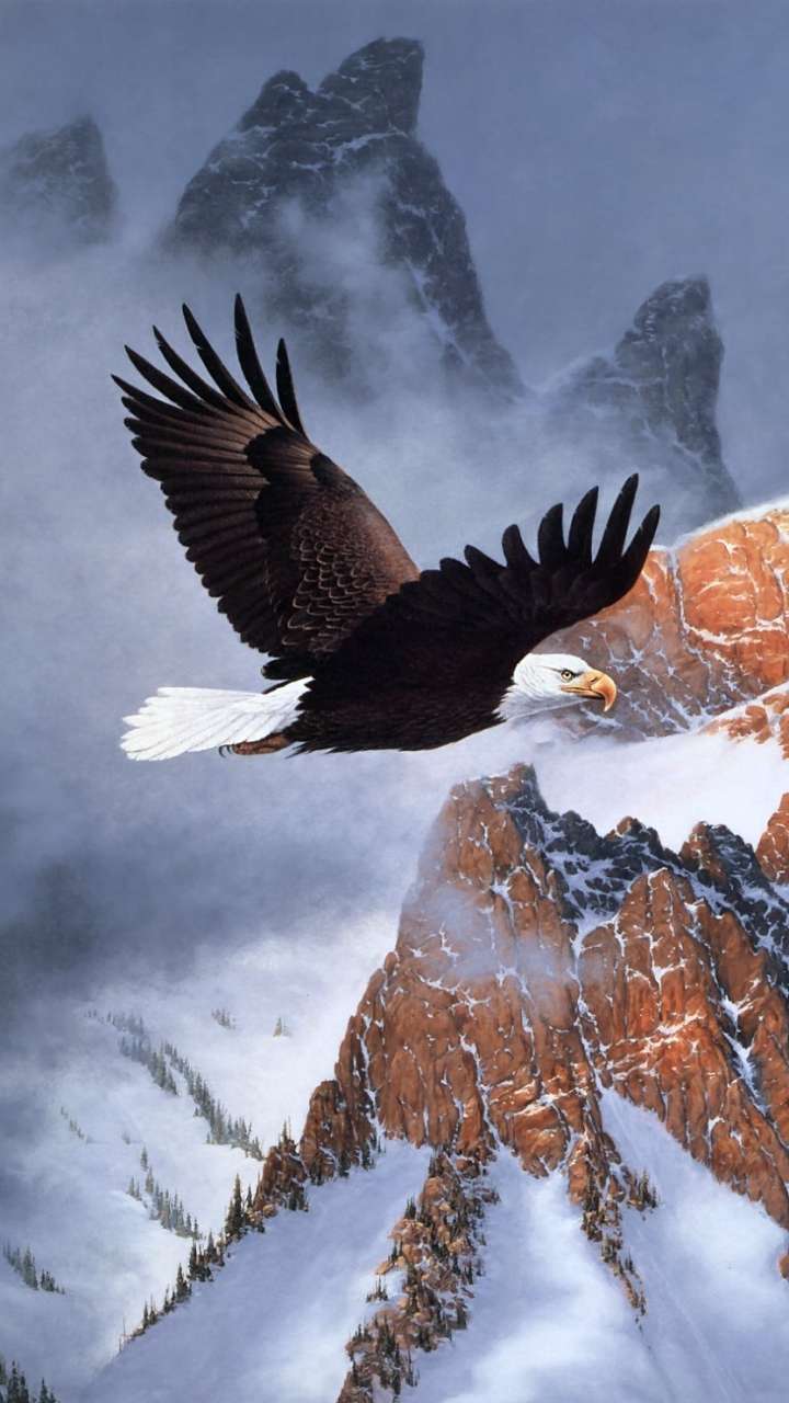 Iphone Eagle Wallpapers