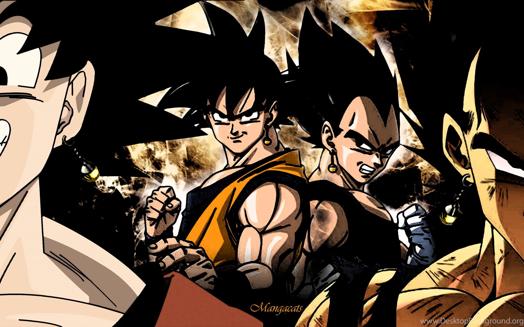 Iphone Goku And Vegeta Wallpapers