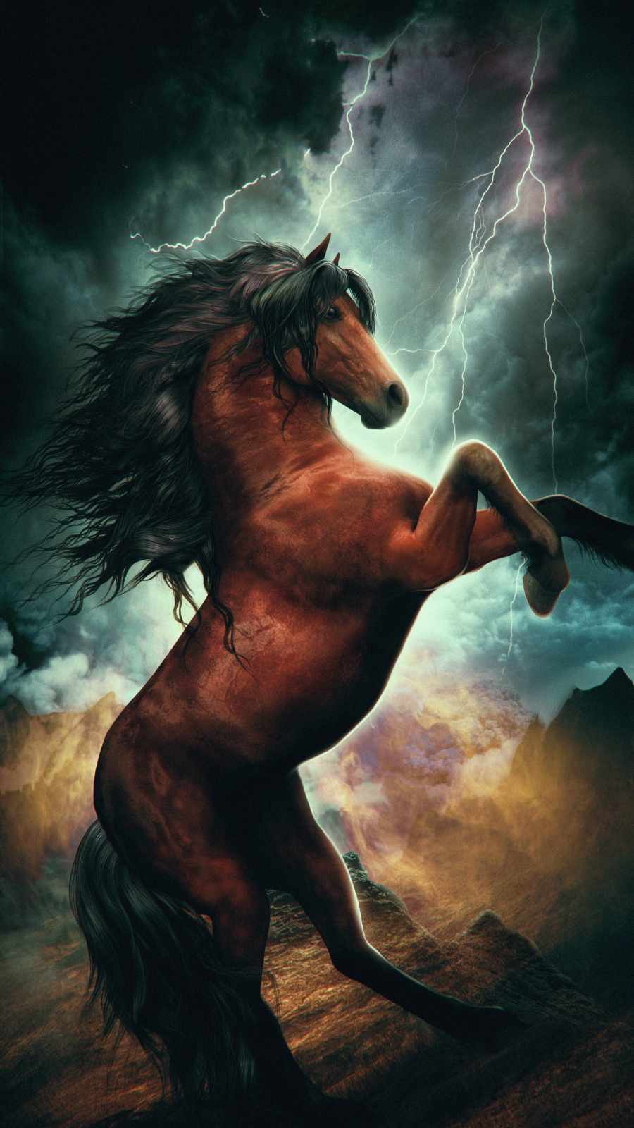 Iphone Horse Wallpapers