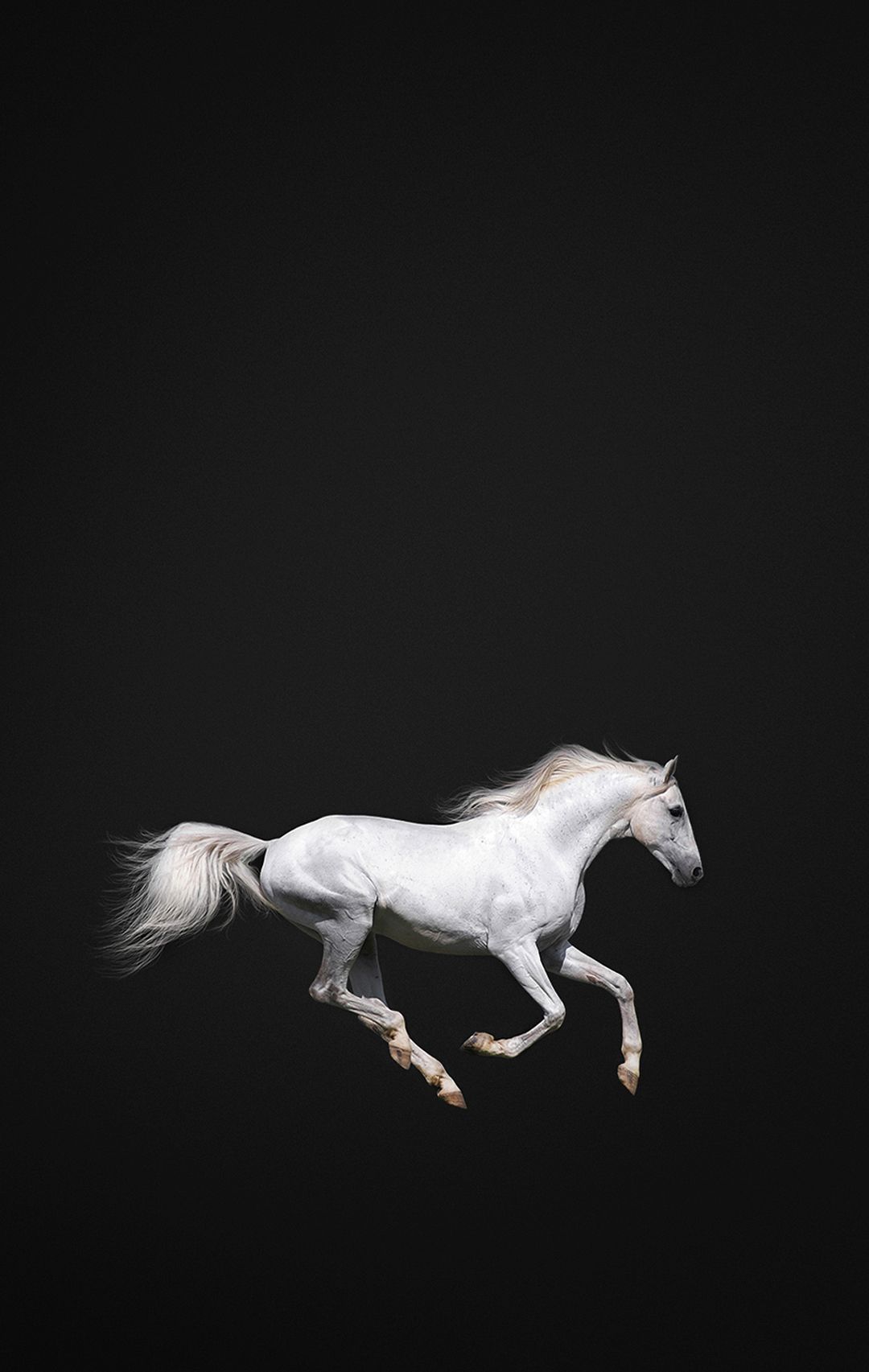 Iphone Horse Wallpapers